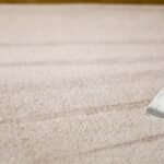 This is a photo of a cream rug which is being professionally steam cleaned.