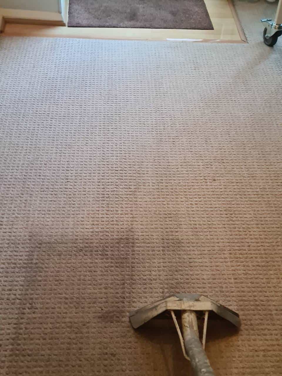This is a photo of a brown carpet being steam cleaned by K&S Carpet Cleaning